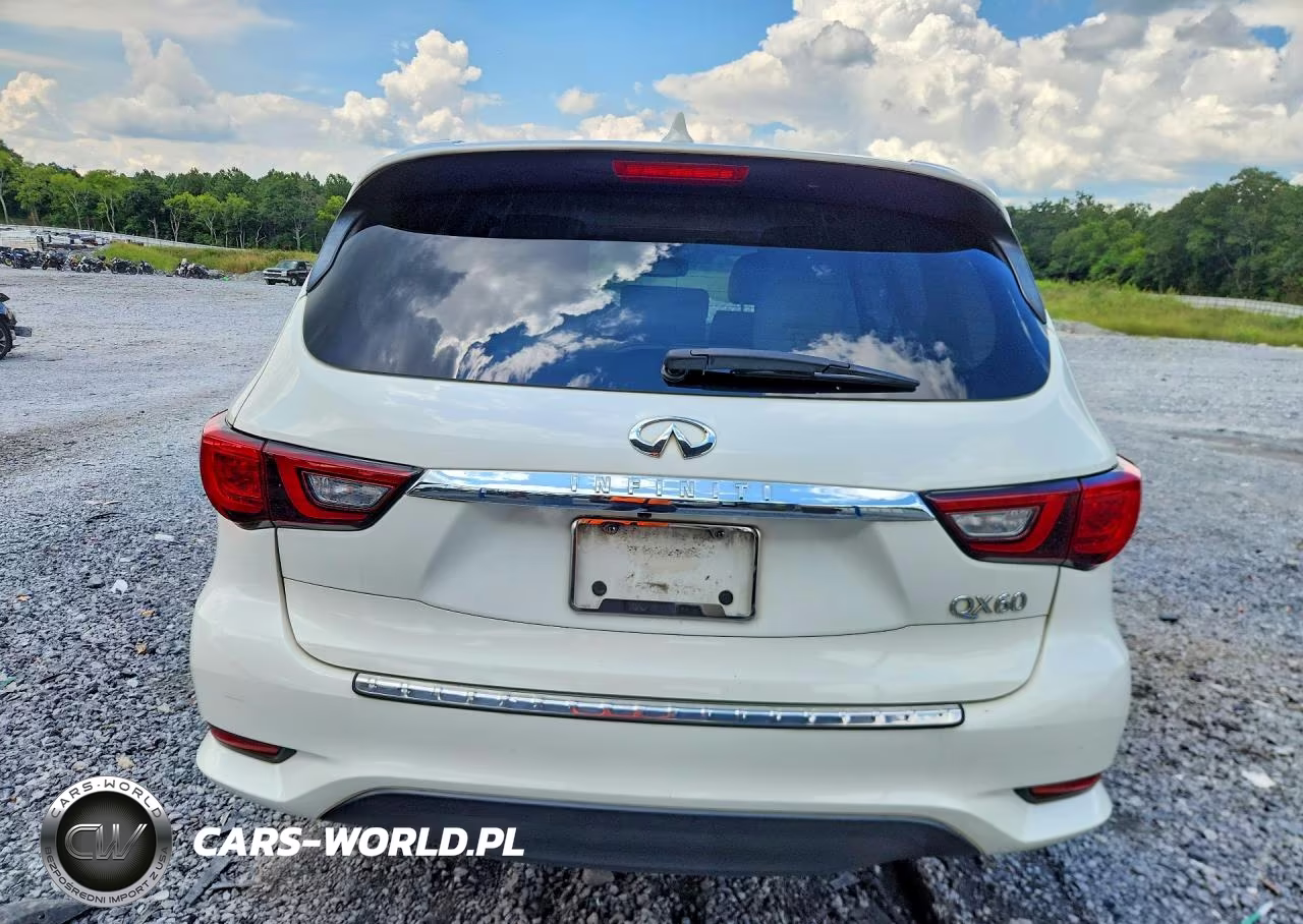 2019 Infiniti Qx60 Pure VIN:5N1DL0MN7KC524127 - 6