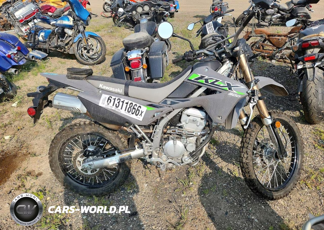 2025 Kawasaki Klx300 F – zdjęcie 1 z 9
