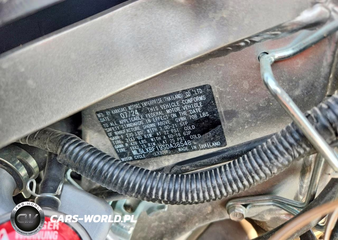 2025 Kawasaki Klx300 F VIN:ML5LXBF19SDA38548 - 9