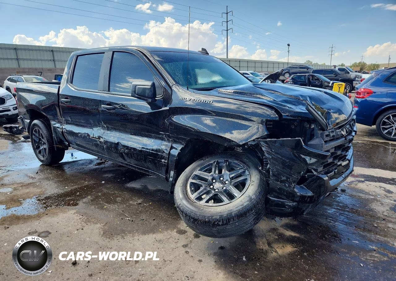 2025 Chevrolet Silverado K1500 Custom VIN:1GCPKBEKXSZ102872 - 4