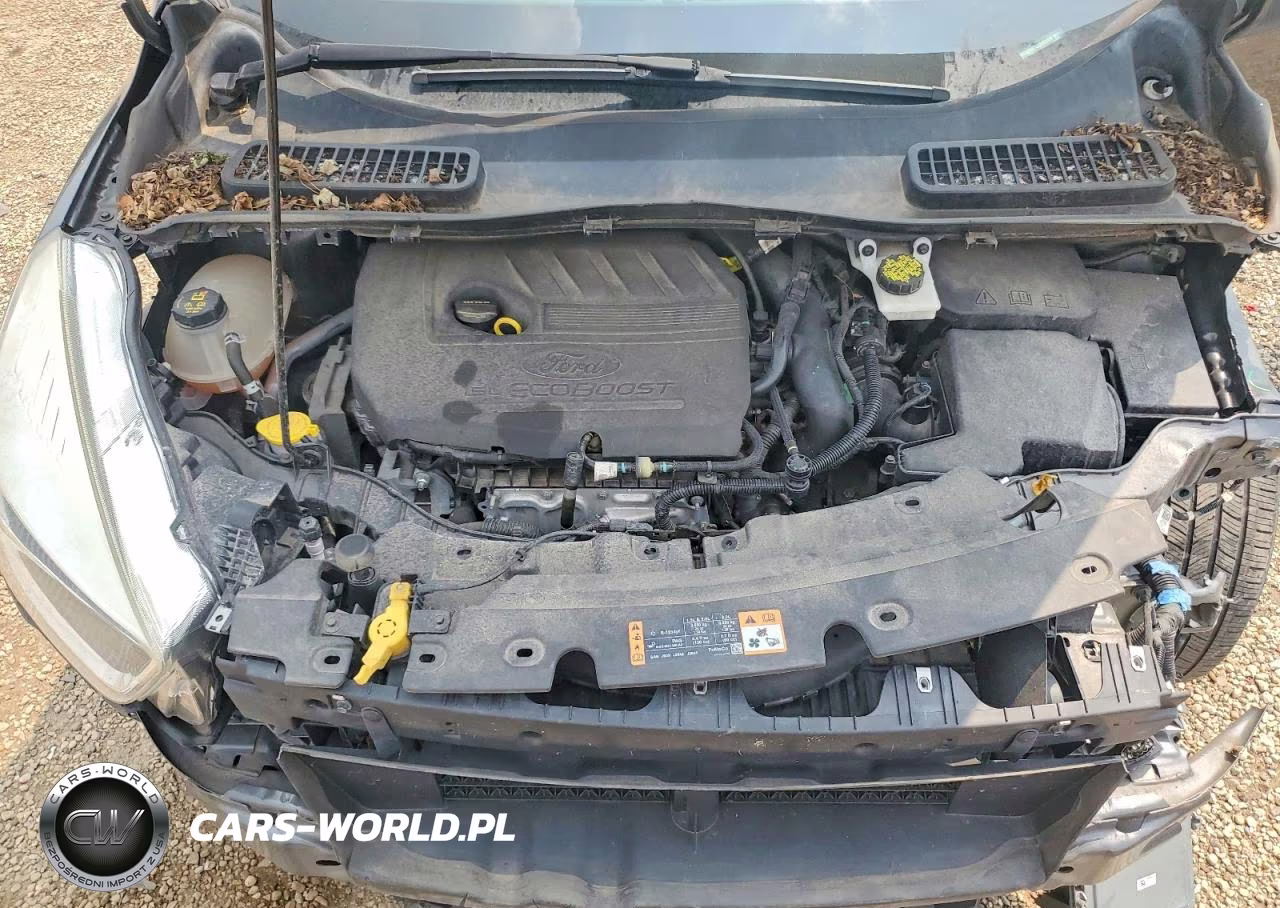 2018 Ford Escape Se VIN:1FMCU0GD1JUA02596 - 12