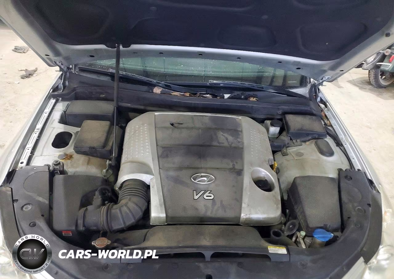 2010 Hyundai Genesis 3.8L VIN:KMHGC4DE8AU093987 - 11