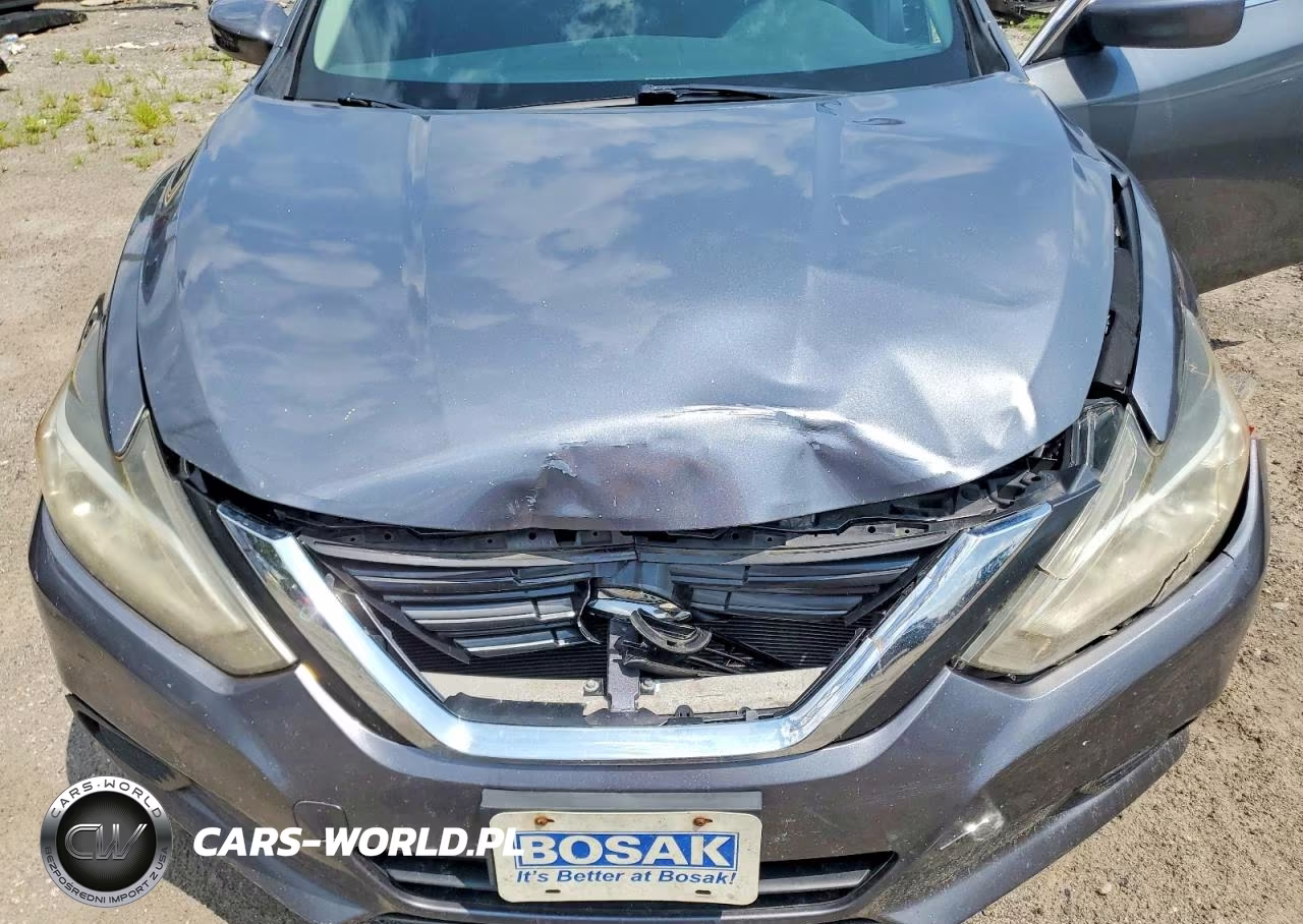 2016 Nissan Altima 2.5 S VIN:1N4AL3AP7GN385844 - 11