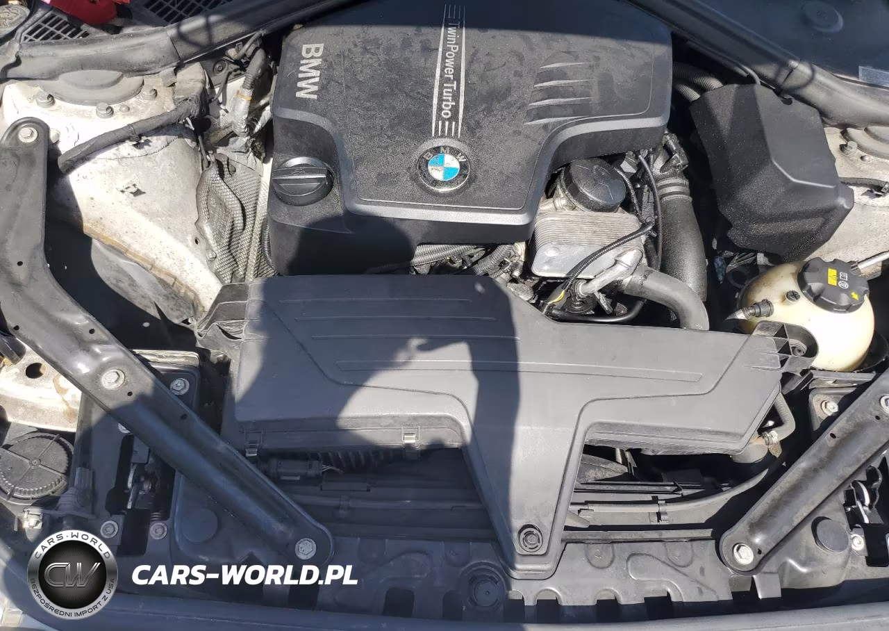 2016 BMW 228 I Sulev VIN:WBA1K9C5XGV321550 - 11
