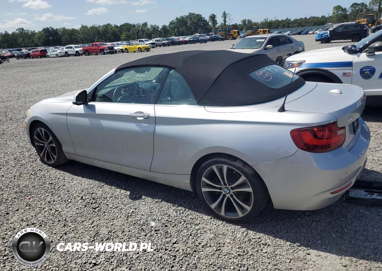 2016 BMW 228 I Sulev VIN:WBA1K9C5XGV321550 - 2