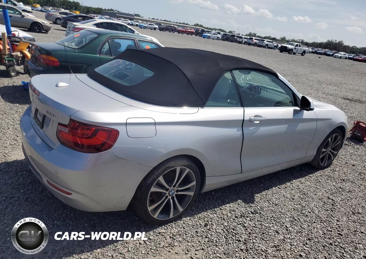 2016 BMW 228 I Sulev VIN:WBA1K9C5XGV321550 - 3