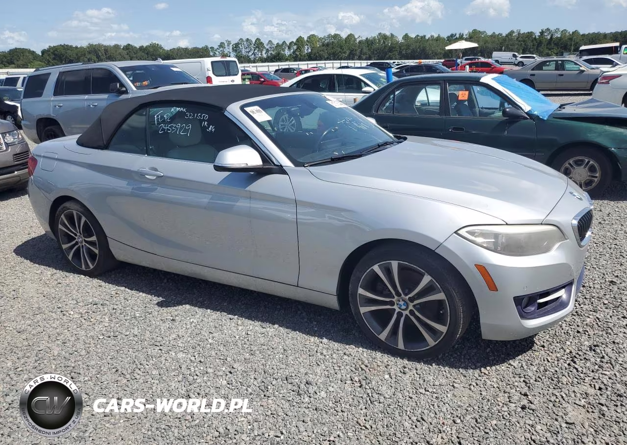 2016 BMW 228 I Sulev VIN:WBA1K9C5XGV321550 - 4
