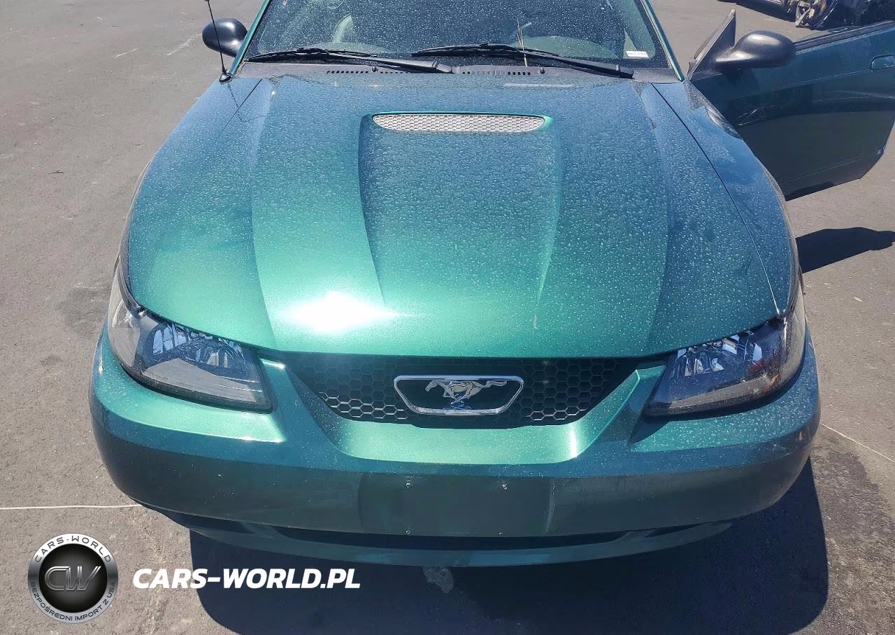 2002 Ford Mustang VIN:1FAFP44462F233106 - 11