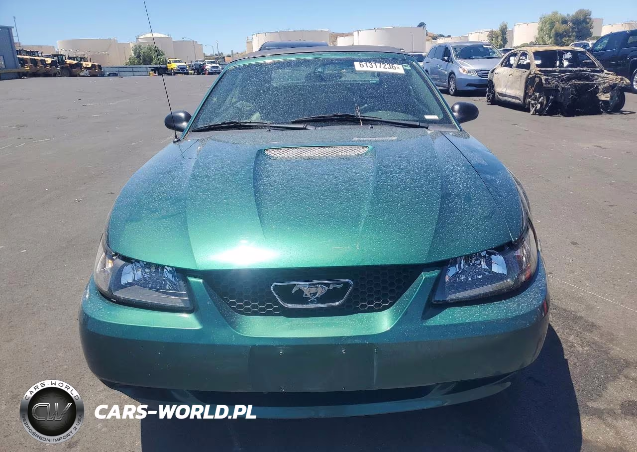 2002 Ford Mustang VIN:1FAFP44462F233106 - 5