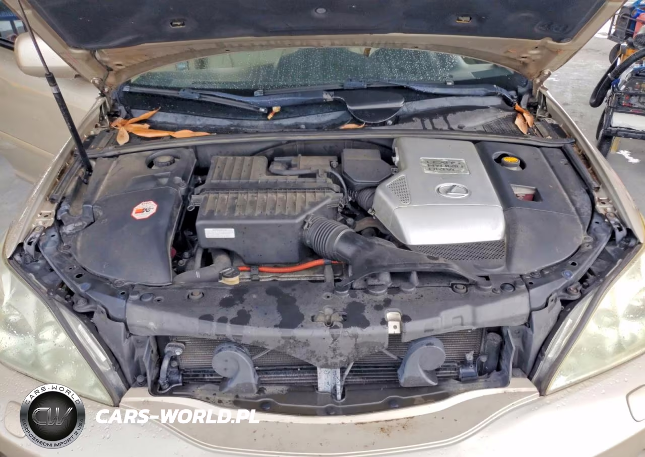 2007 Lexus Rx 400H VIN:JTJGW31U472003303 - 12