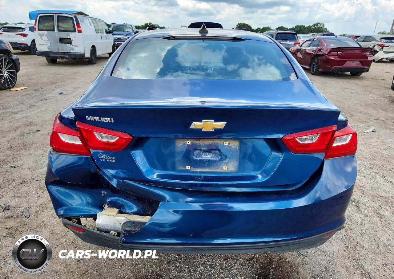 2019 Chevrolet Malibu Ls VIN:1G1ZB5STXKF182496 - 6