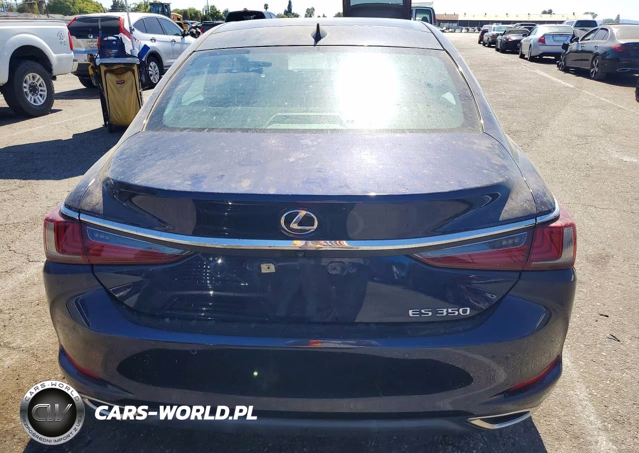 2019 Lexus Es 350 VIN:58ABZ1B13KU031690 - 6