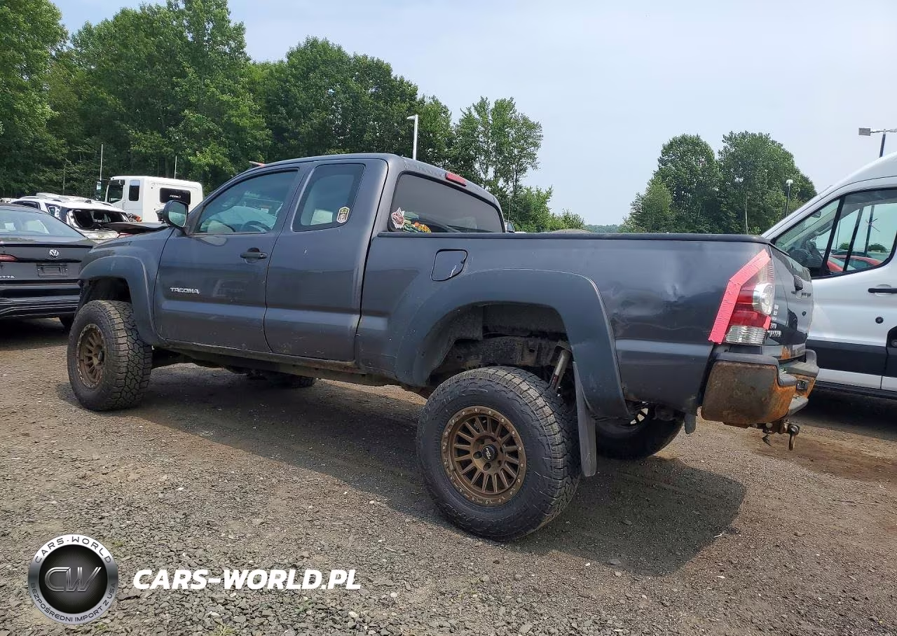 2010 Toyota Tacoma Access Cab VIN:5TEUU4EN3AZ729810 - 2