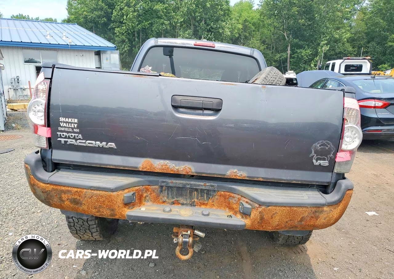 2010 Toyota Tacoma Access Cab VIN:5TEUU4EN3AZ729810 - 6