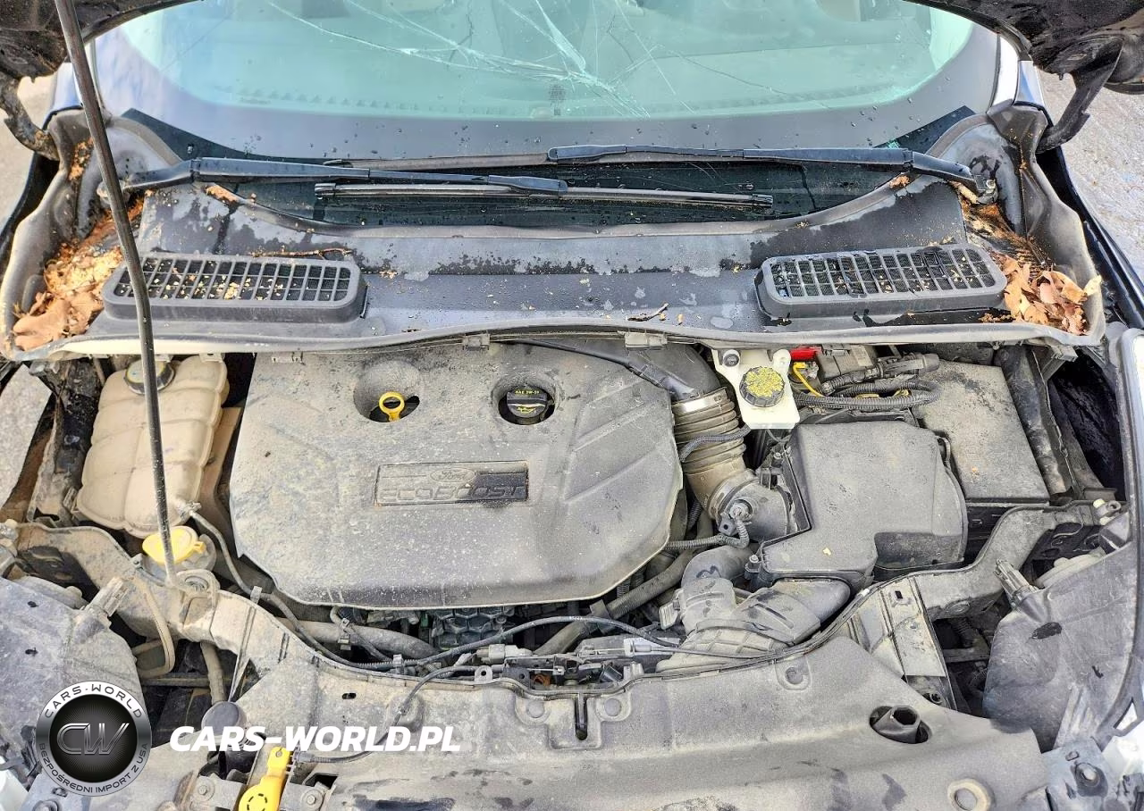 2014 Ford Escape Se VIN:1FMCU9G9XEUA53102 - 12