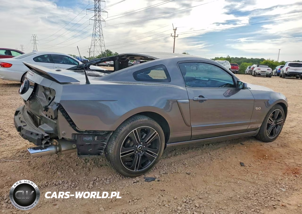 2013 Ford Mustang Gt VIN:1ZVBP8CF0D5235801 - 3