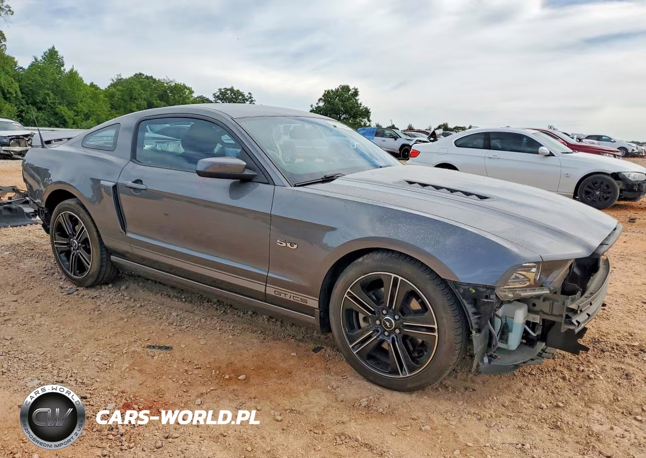 2013 Ford Mustang Gt VIN:1ZVBP8CF0D5235801 - 4