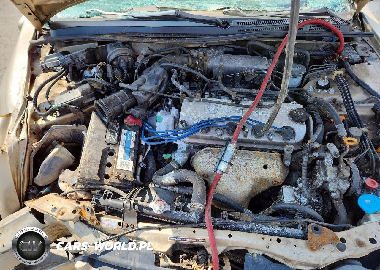 1995 Honda Accord Ex VIN:1HGCE1892SA004217 - 11