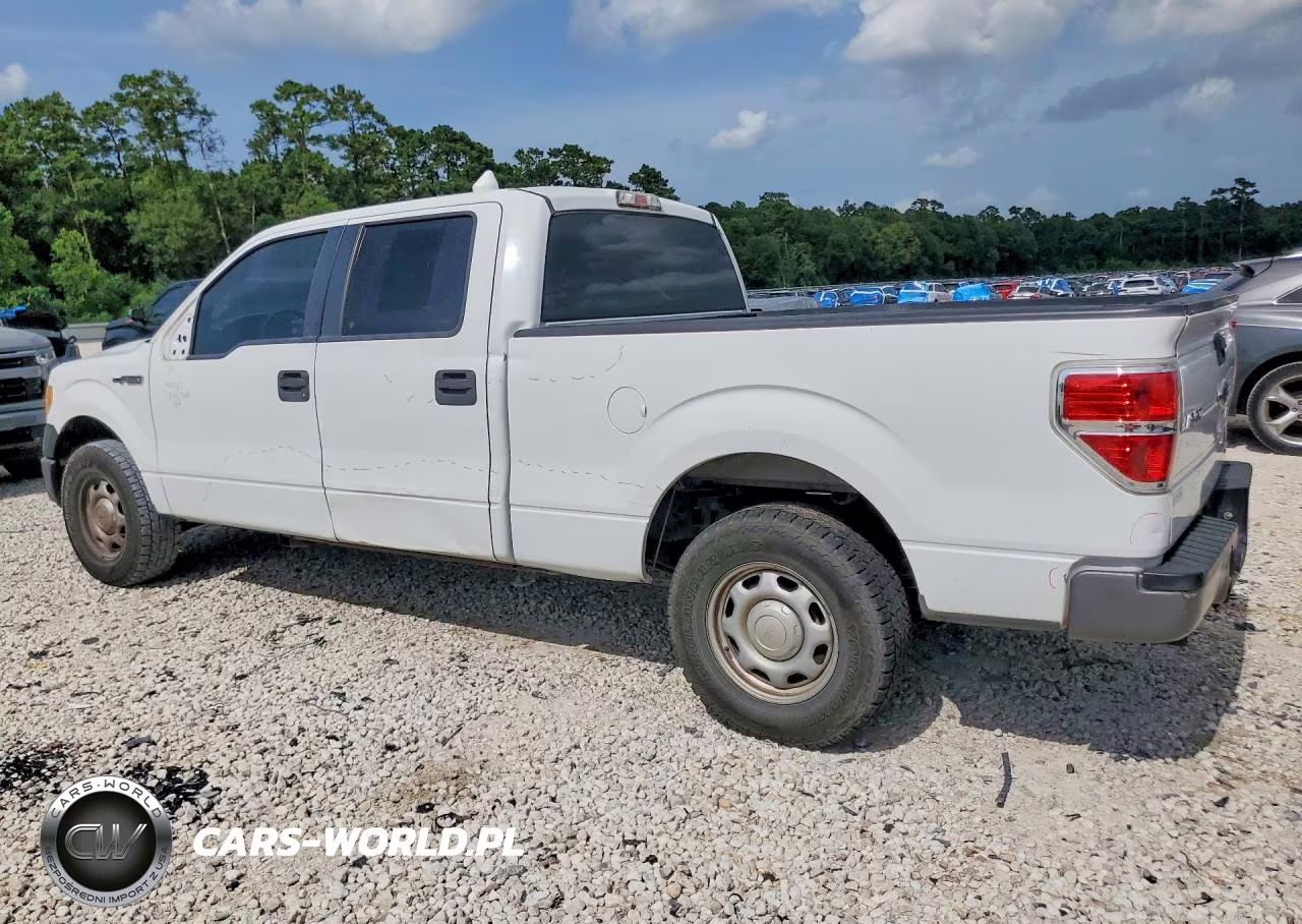 2013 Ford F150 Supercrew VIN:1FTFW1CF4DKG53164 - 2