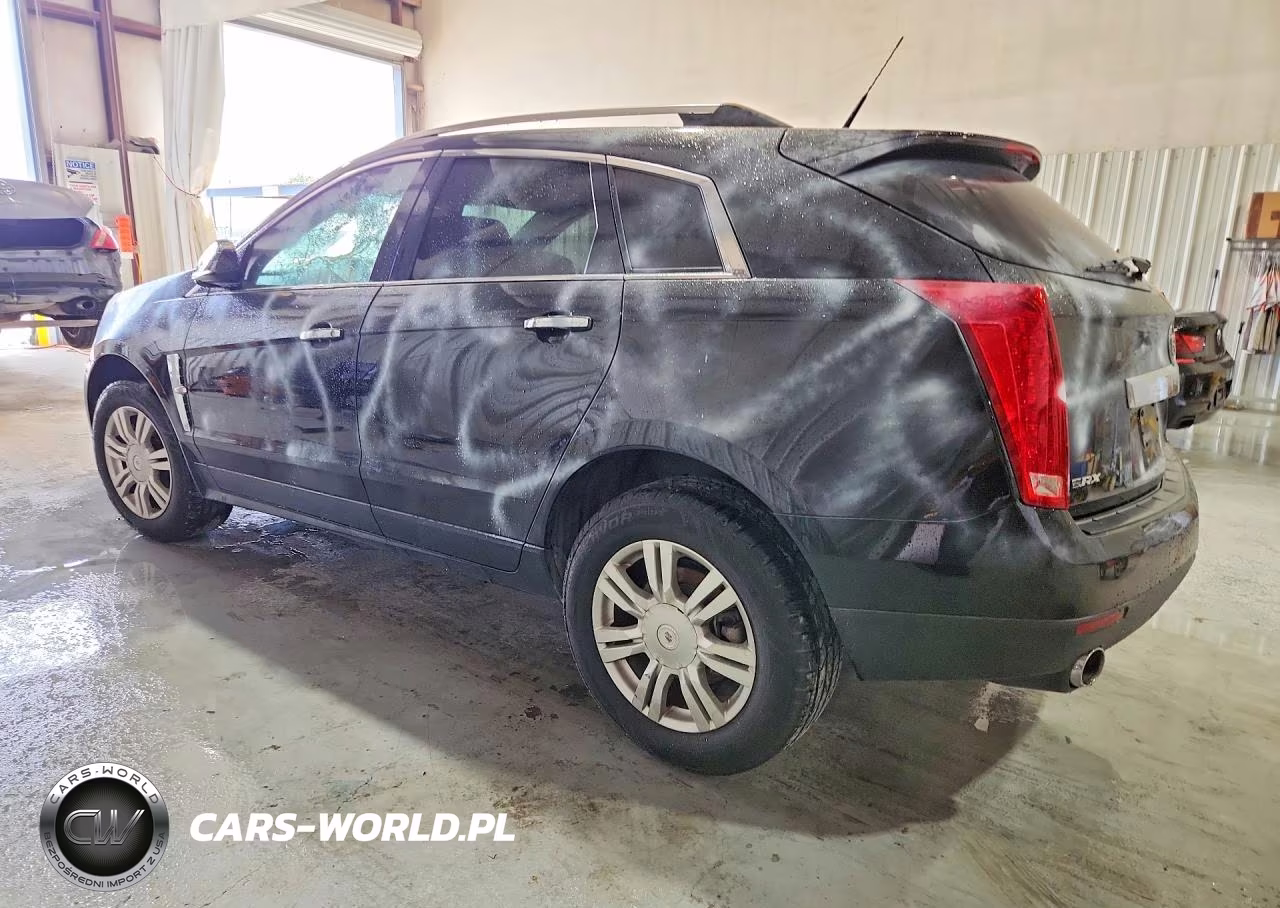2010 Cadillac Srx Luxury Collection VIN:3GYFNAEY2AS610096 - 2