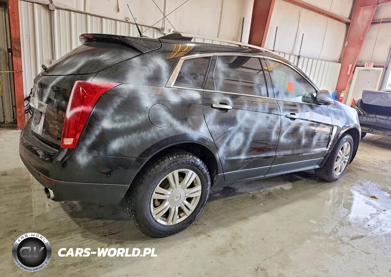 2010 Cadillac Srx Luxury Collection VIN:3GYFNAEY2AS610096 - 3