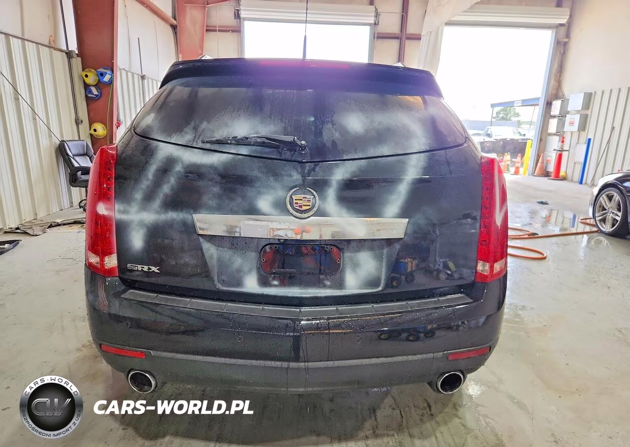 2010 Cadillac Srx Luxury Collection VIN:3GYFNAEY2AS610096 - 6