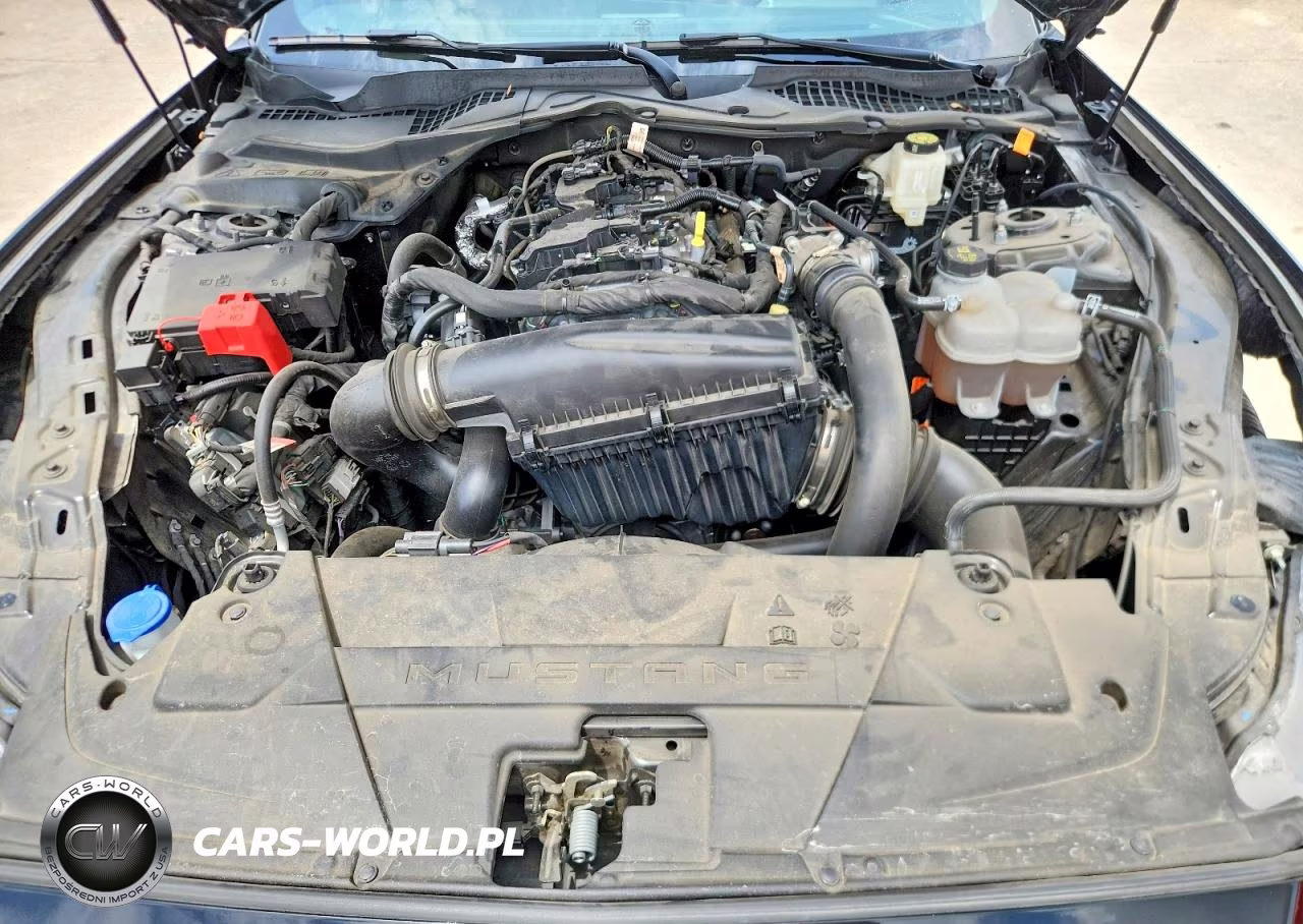 2024 Ford Mustang VIN:1FA6P8THXR5143291 - 11