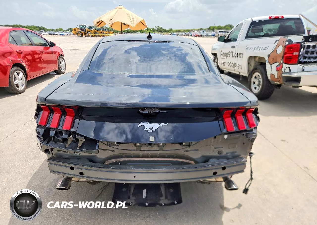 2024 Ford Mustang VIN:1FA6P8THXR5143291 - 6