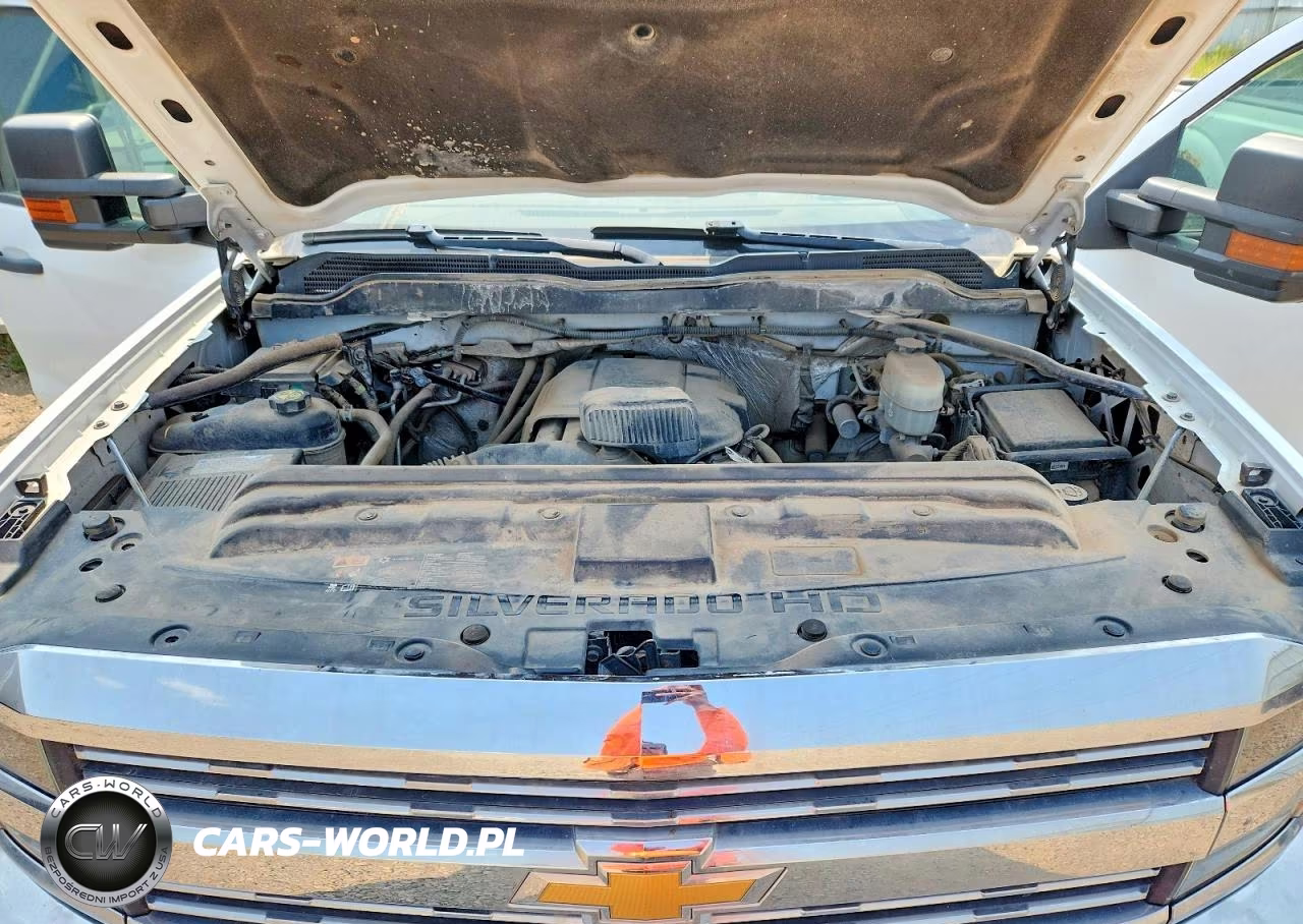 2018 Chevrolet Silverado K2500 Heavy Duty VIN:1GC1KUEG8JF177888 - 11