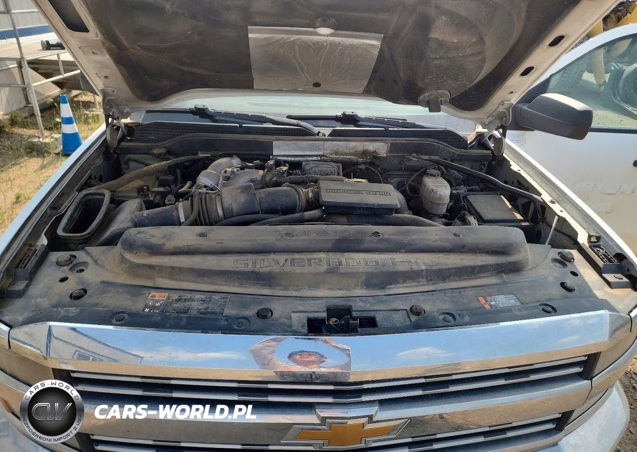 2018 Chevrolet Silverado K2500 Heavy Duty VIN:1GC1KUEY9JF225763 - 11