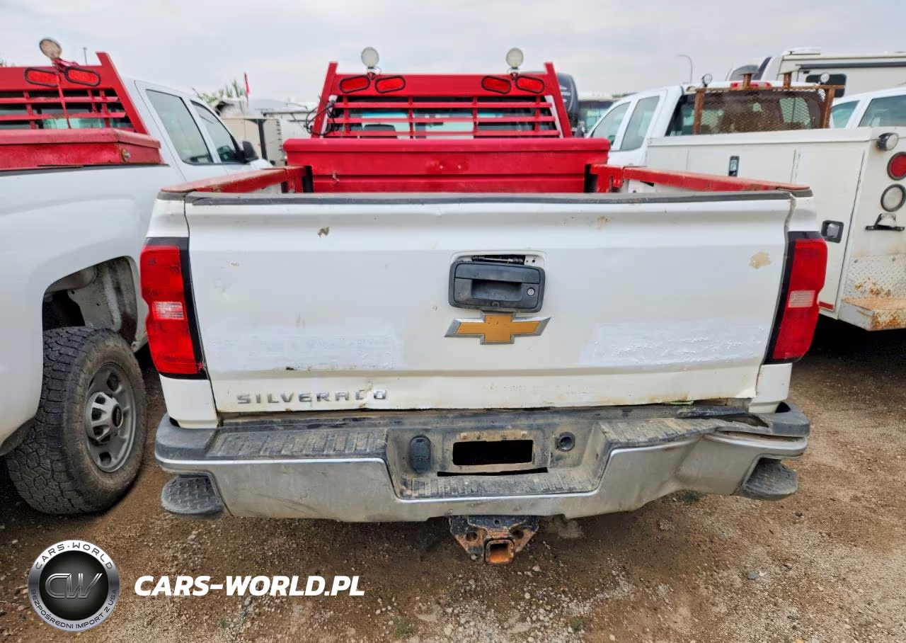 2018 Chevrolet Silverado K2500 Heavy Duty VIN:1GC1KUEY9JF225763 - 6