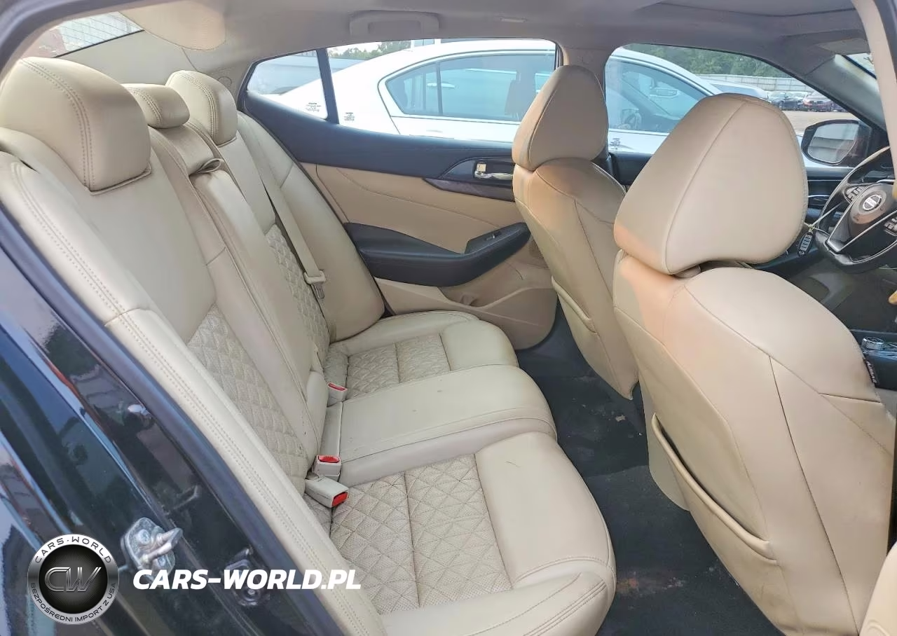 2016 Nissan Maxima Platinum VIN:1N4AA6AP2GC902390 - 10