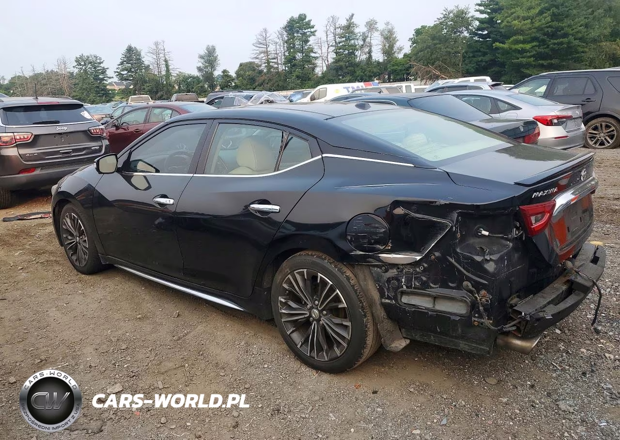 2016 Nissan Maxima Platinum VIN:1N4AA6AP2GC902390 - 2