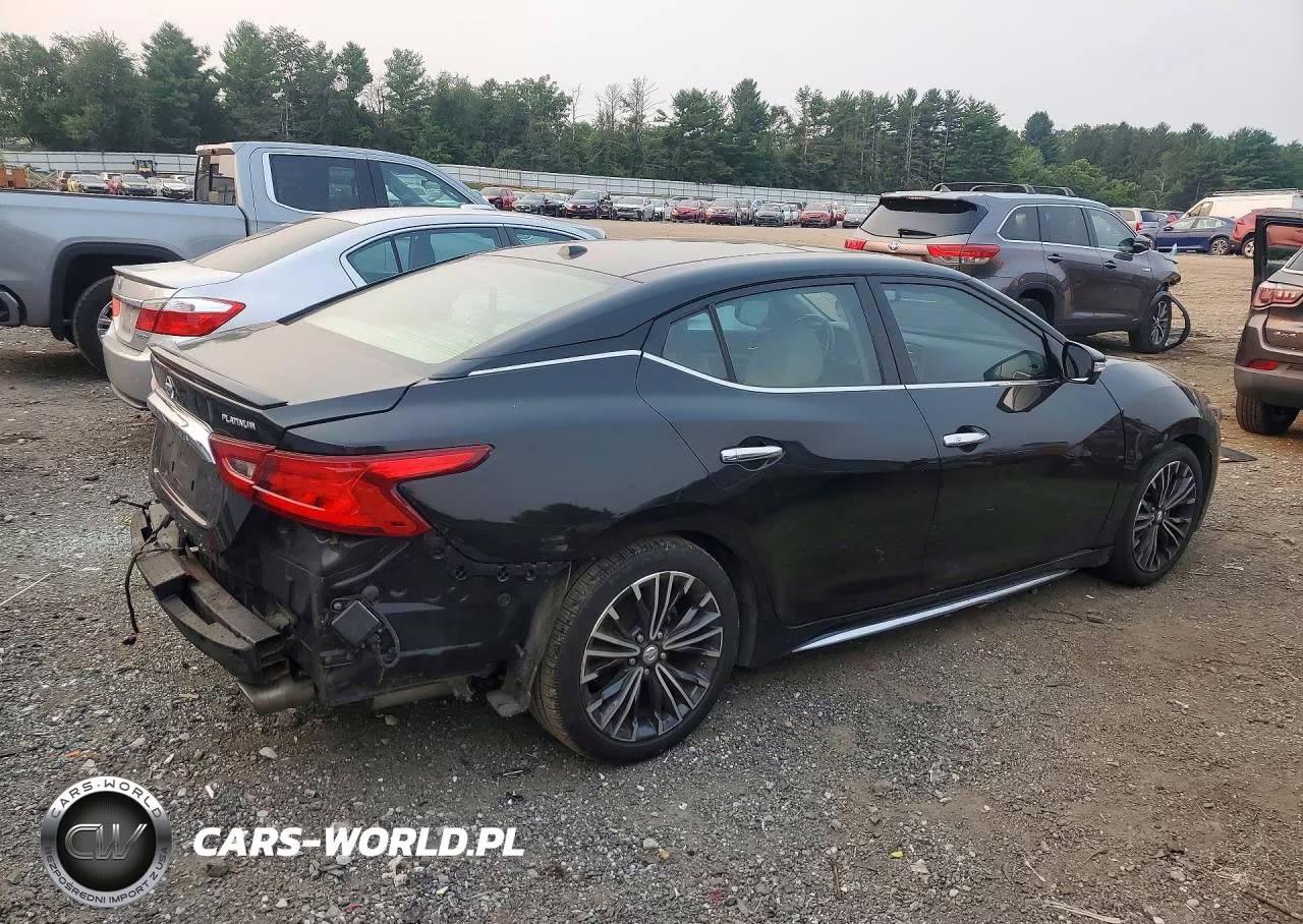 2016 Nissan Maxima Platinum VIN:1N4AA6AP2GC902390 - 3
