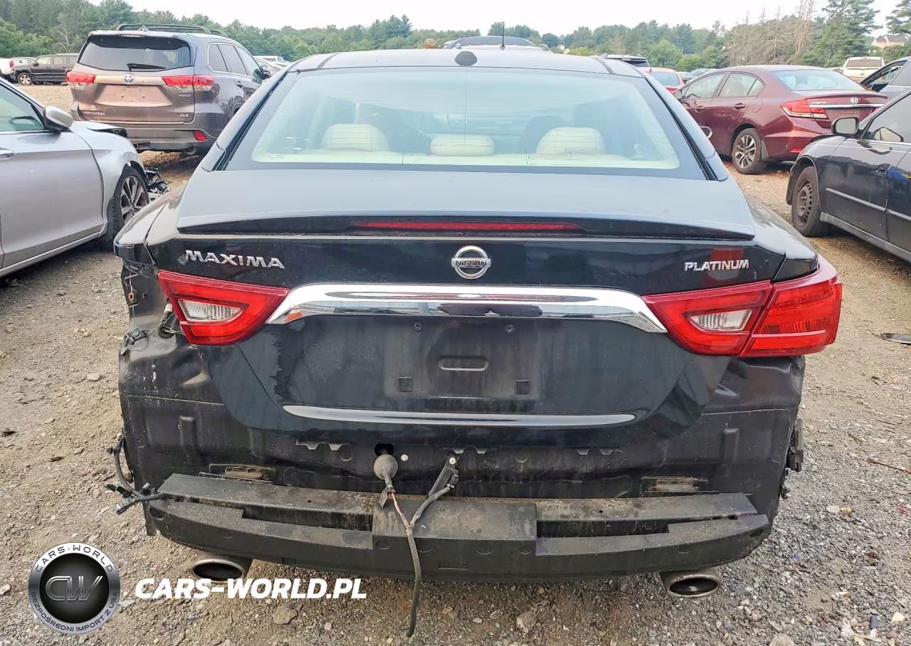 2016 Nissan Maxima Platinum VIN:1N4AA6AP2GC902390 - 6