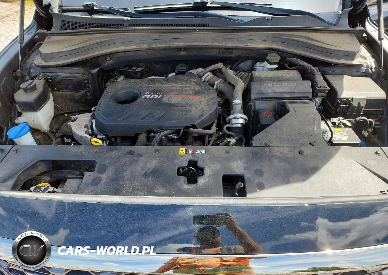 2019 Hyundai Santa Fe Limited 2.0T VIN:5NMS53AA3KH081730 - 12