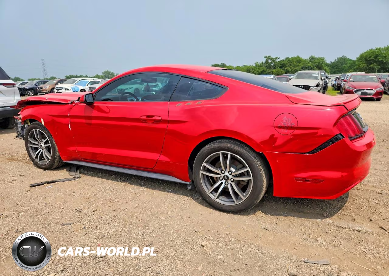 2017 Ford Mustang VIN:1FA6P8TH8H5306423 - 2