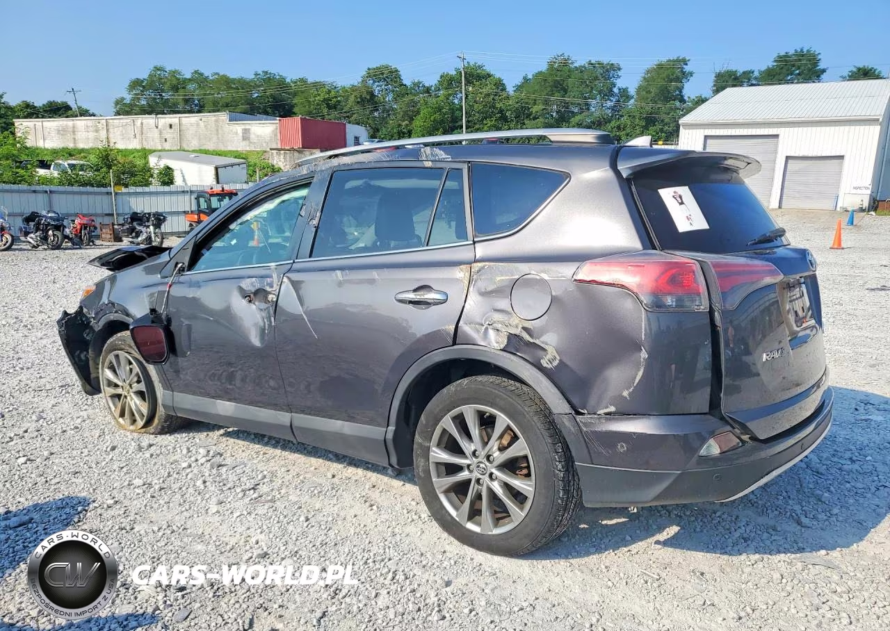 2016 Toyota Rav4 Le VIN:2T3DFREV4GW481174 - 2