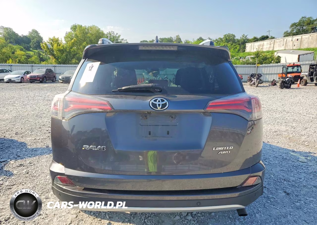 2016 Toyota Rav4 Le VIN:2T3DFREV4GW481174 - 6