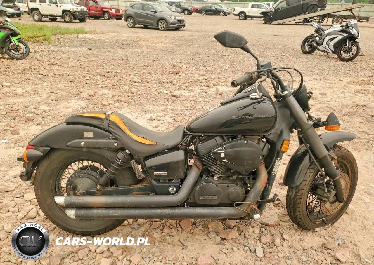 2014 Honda Vt750 C2B