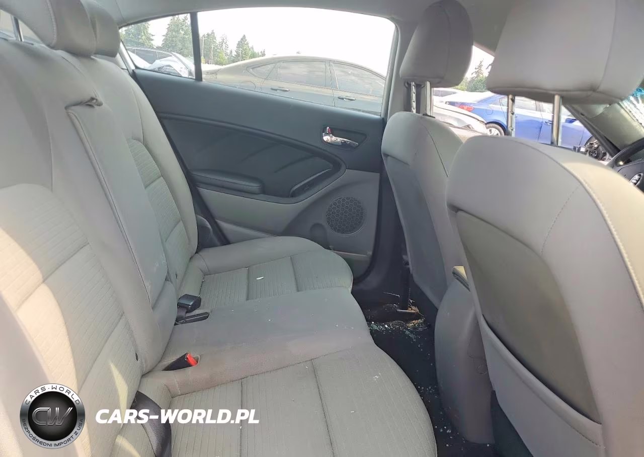 2014 Kia Forte Lx VIN:KNAFX4A68E5217416 - 10
