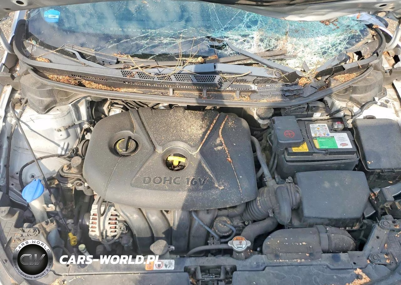 2014 Kia Forte Lx VIN:KNAFX4A68E5217416 - 11