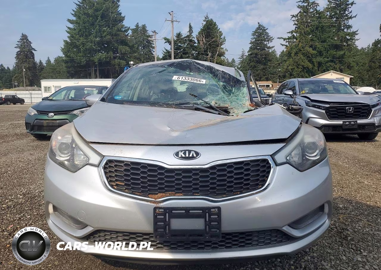 2014 Kia Forte Lx VIN:KNAFX4A68E5217416 - 5