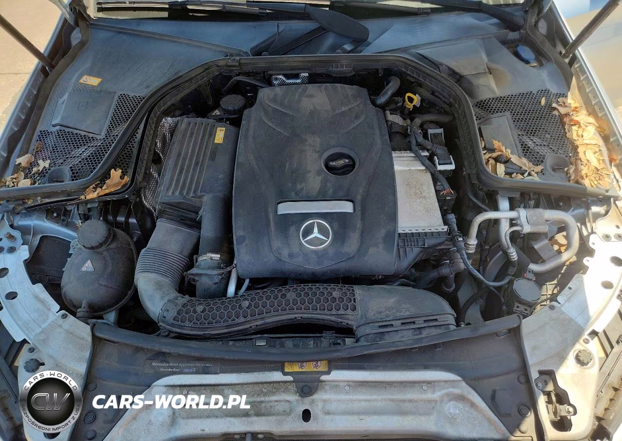 2016 Mercedes-Benz C 300 VIN:55SWF4JB8GU130991 - 11