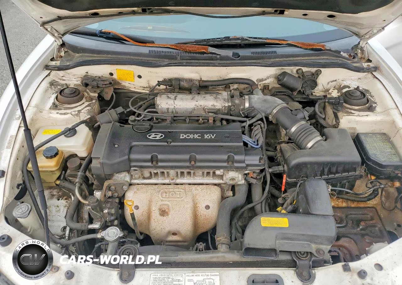 2000 Hyundai Tiburon Base VIN:KMHJG25F9YU217491 - 11