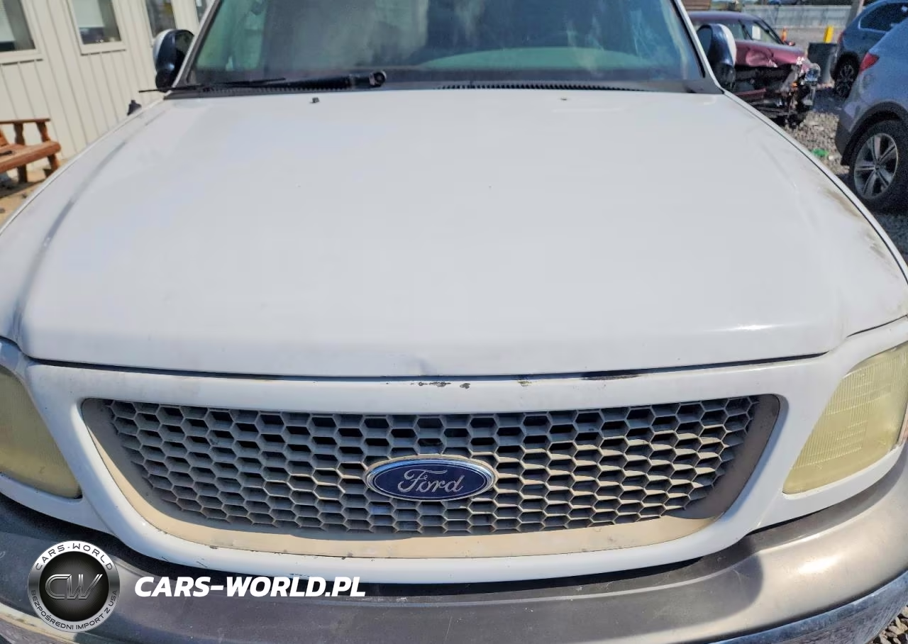 2003 Ford F150 VIN:1FTRX18L63NA87028 - 11