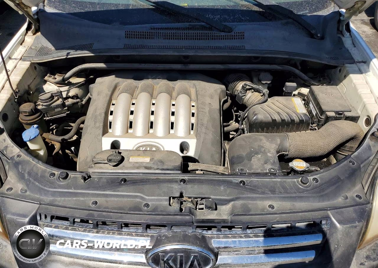 2006 Kia Sportage Lx VIN:KNDJF723X67282280 - 12