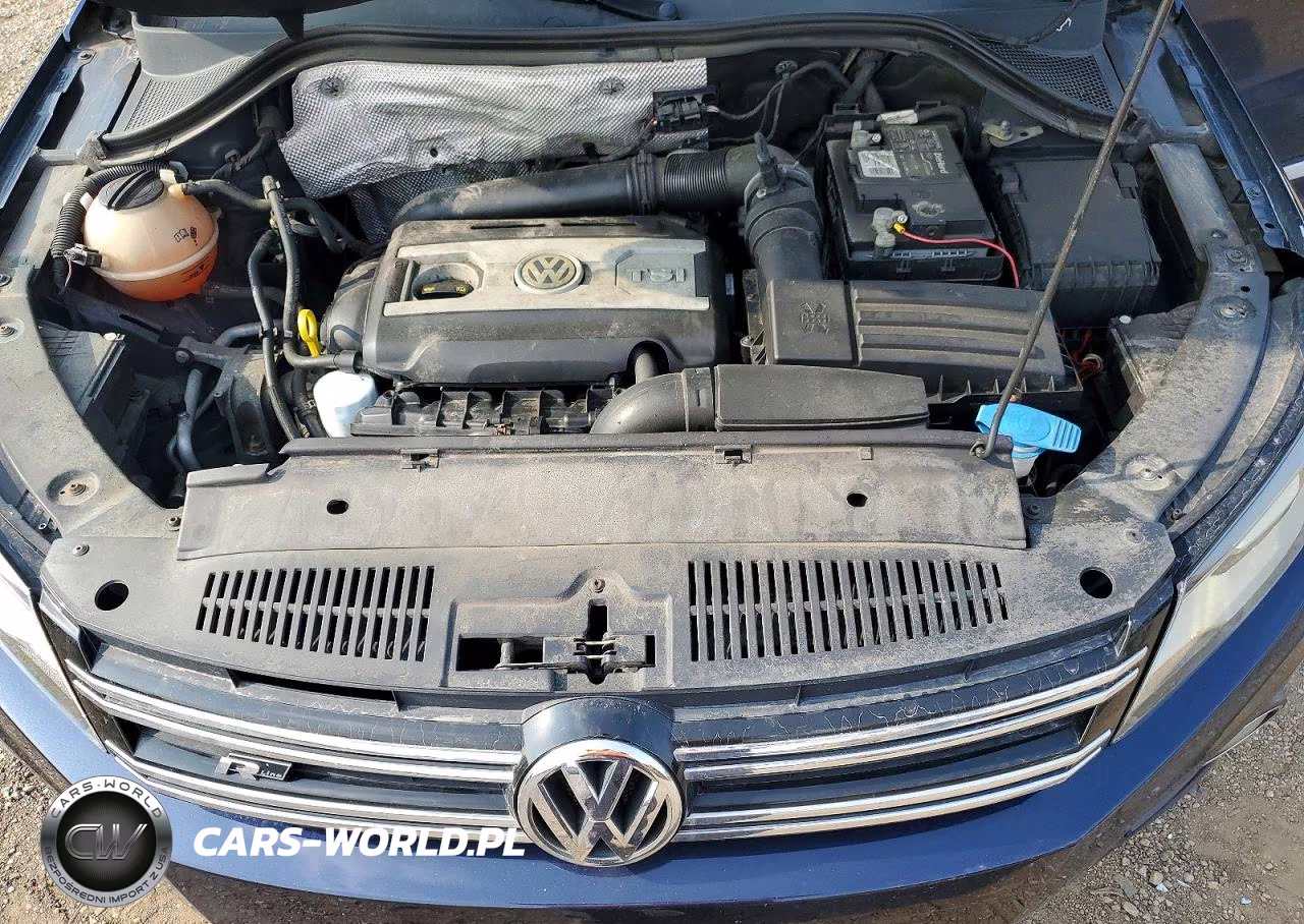 2014 Volkswagen Tiguan S VIN:WVGBV3AX3EW044064 - 12