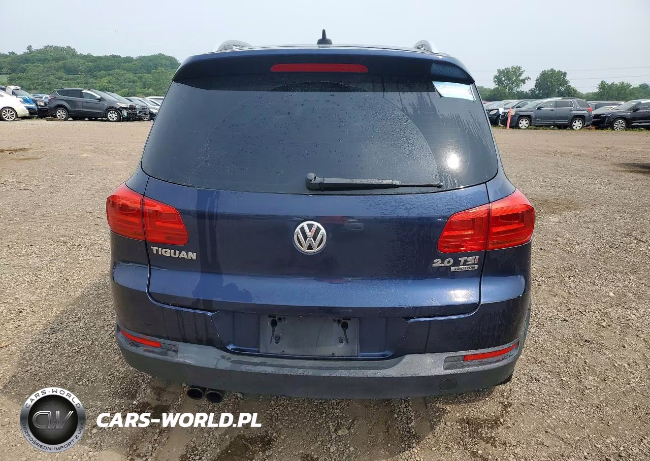 2014 Volkswagen Tiguan S VIN:WVGBV3AX3EW044064 - 6