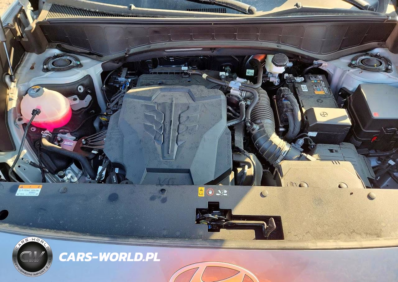 2026 Hyundai Palisade Calligraphy VIN:KM8RMES2XTU020742 - 12